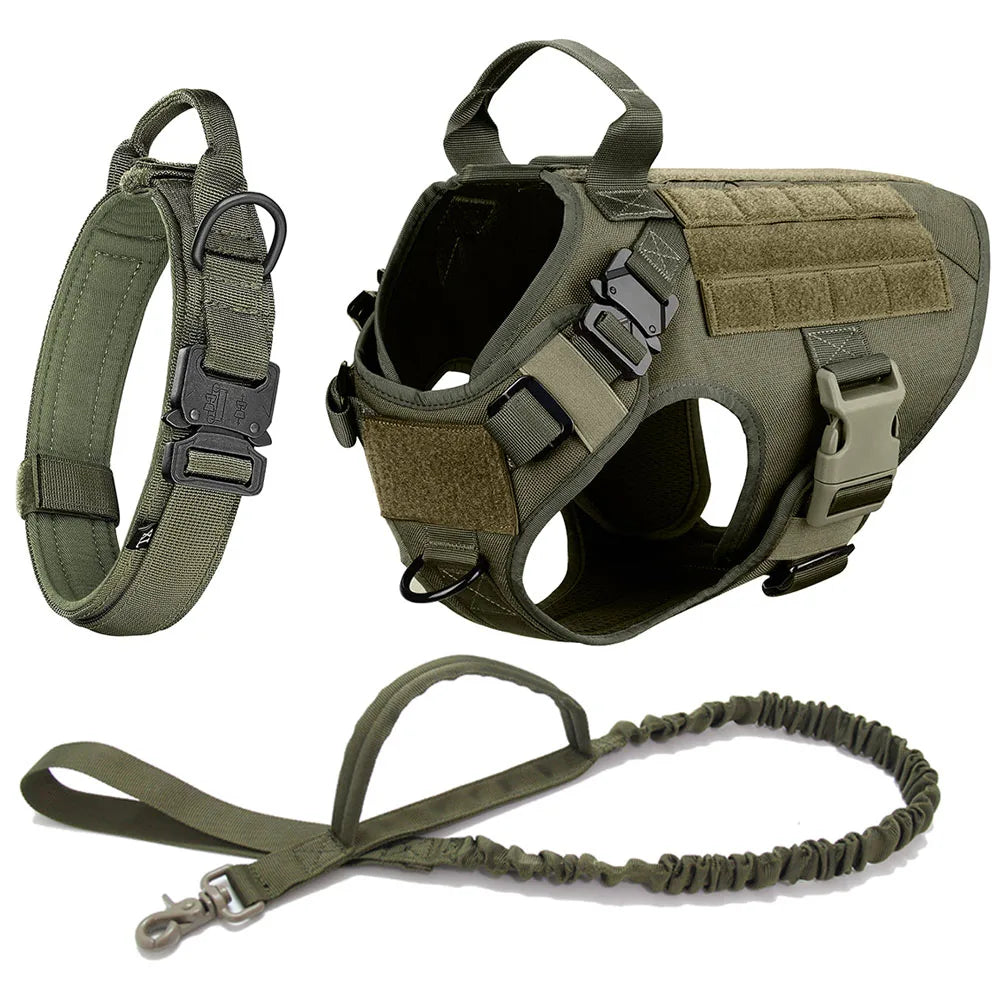 Malinois Dog Harness Leash Set - Elfinna