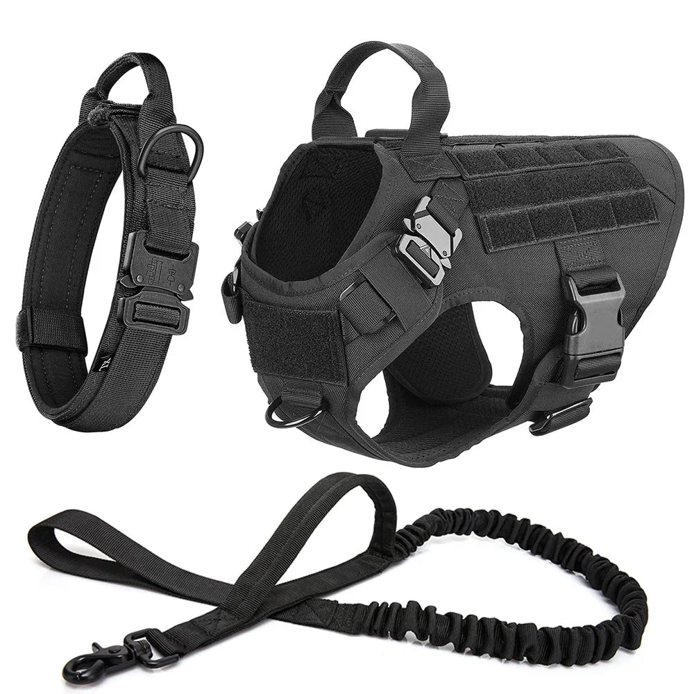 Malinois Dog Harness Leash Set - Elfinna