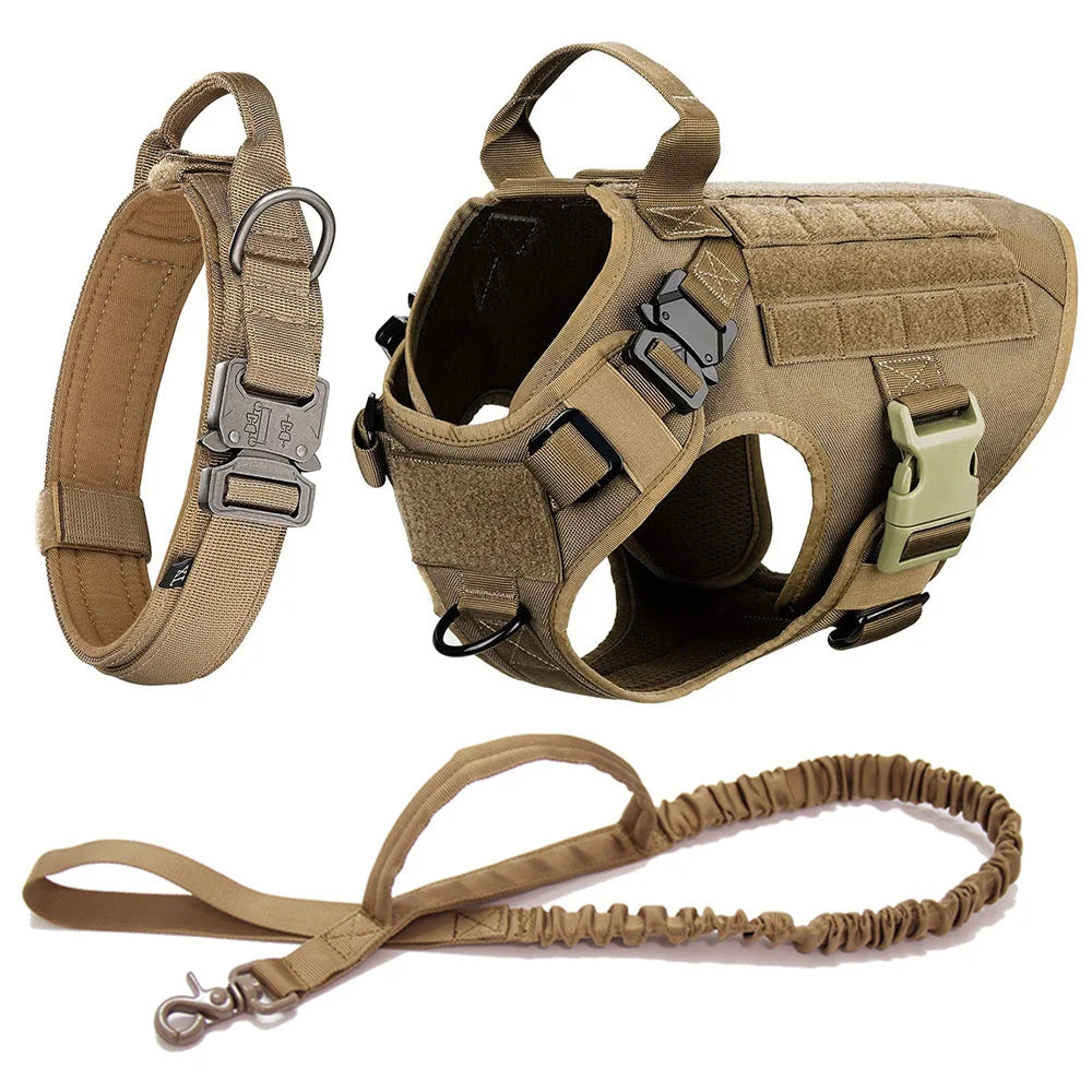 Malinois Dog Harness Leash Set - Elfinna