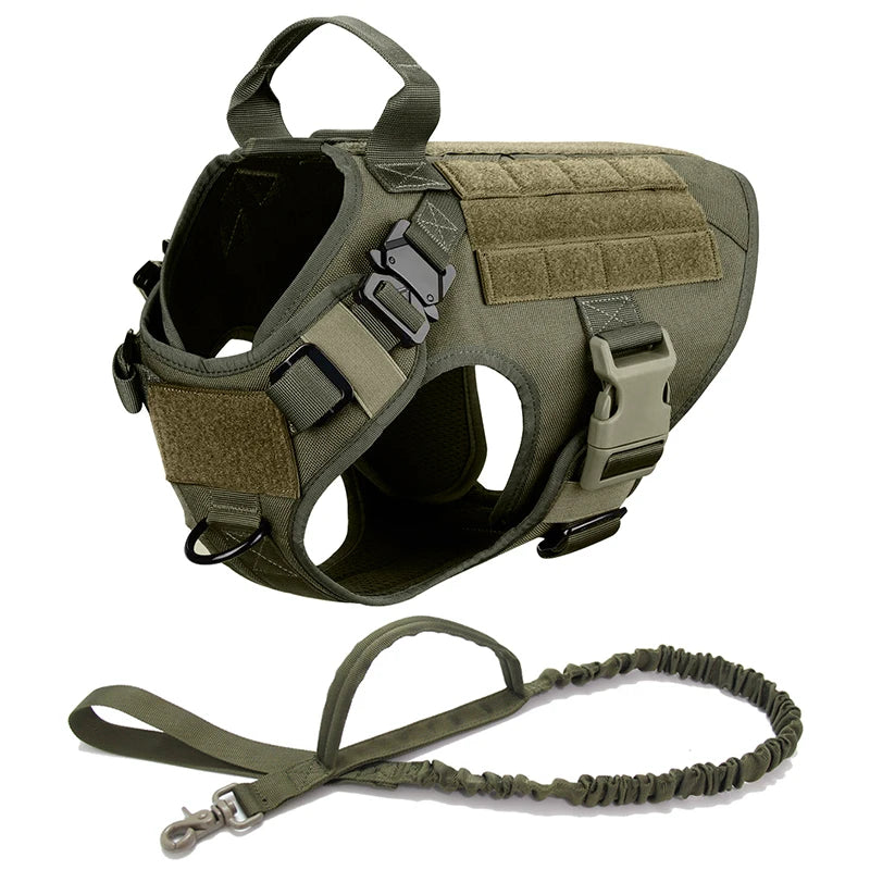 Malinois Dog Harness Leash Set - Elfinna