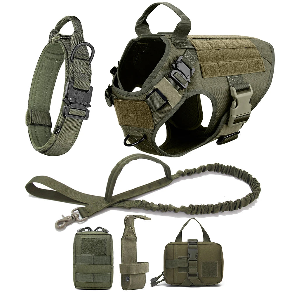 Malinois Dog Harness Leash Set - Elfinna