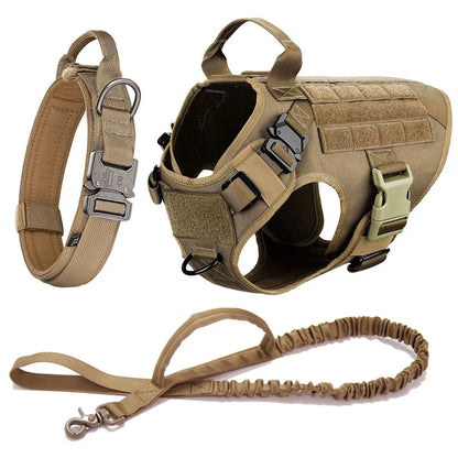 Malinois Dog Harness Leash Set